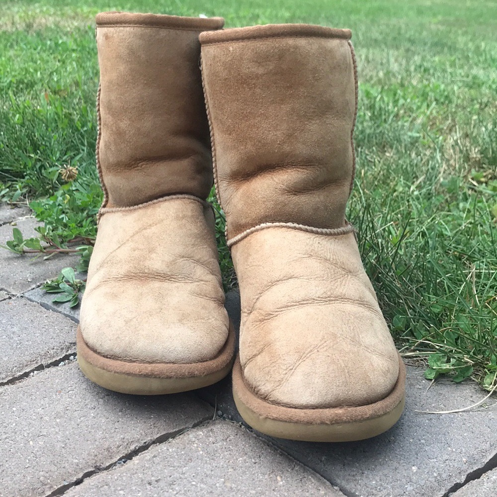 Chestnut short UGGs size 8